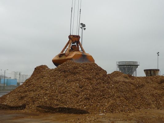 Export of wood at Lorient harbour