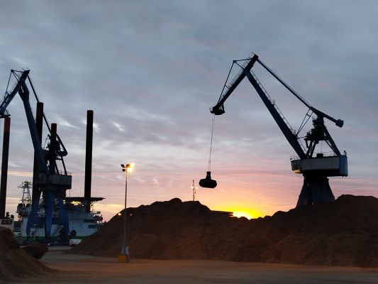 Loading of woodchips